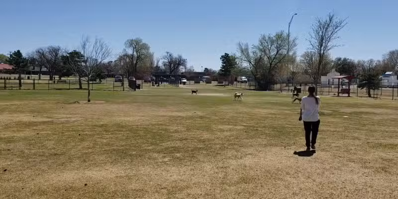 Clapp- Hub City Dog Park - Lubbock, TX