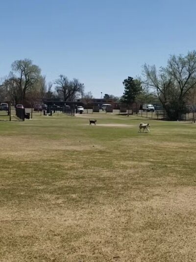 Clapp- Hub City Dog Park - Lubbock, TX