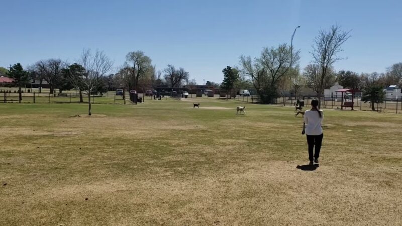 Clapp- Hub City Dog Park - Lubbock, TX