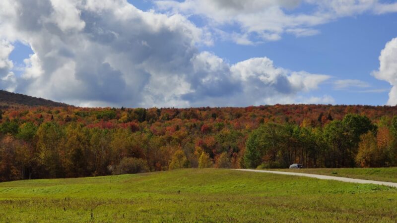 Dorsey Park - Ludlow, VT
