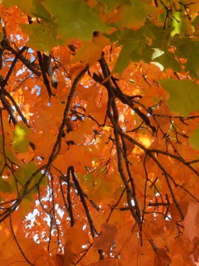 Veteran’s Memorial Park - Ludlow, VT