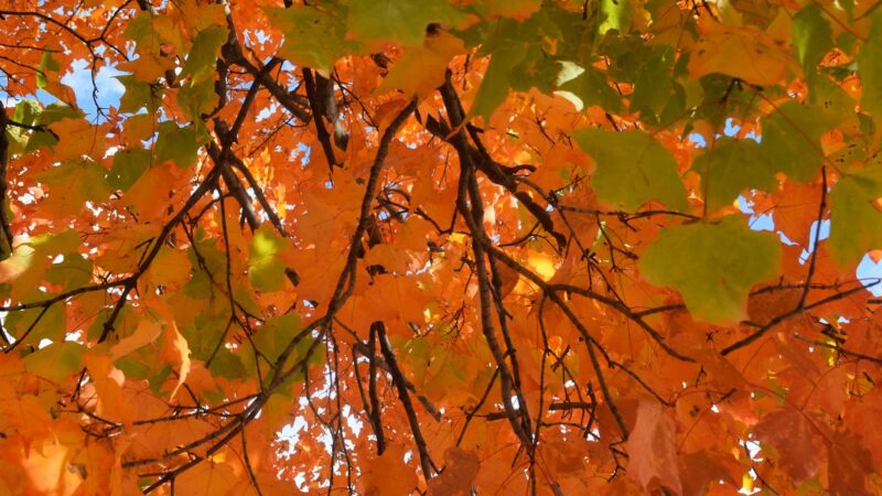 Veteran’s Memorial Park - Ludlow, VT