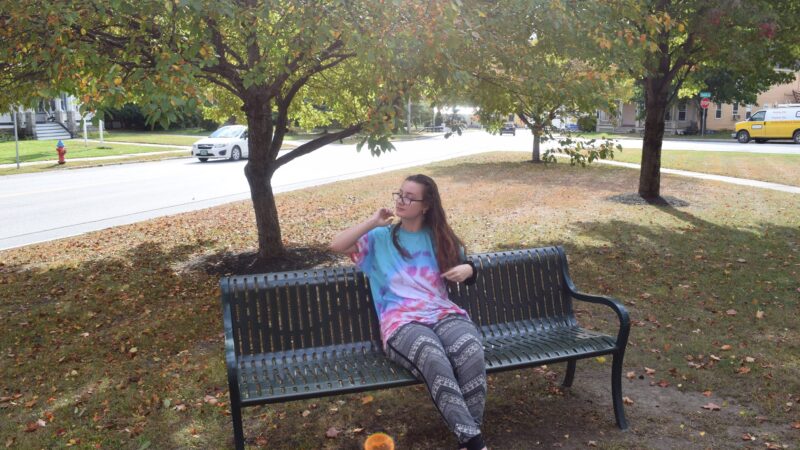 Veteran’s Memorial Park - Ludlow, VT