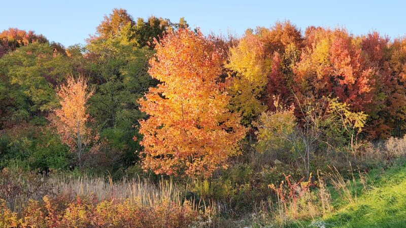 Loyalton Park - Lykens, PA