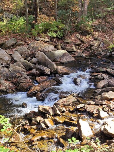 Lykens Glen Park - Lykens, PA