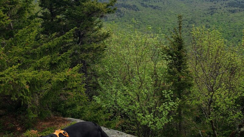 Smarts Mountain Trailhead - Lyme, NH
