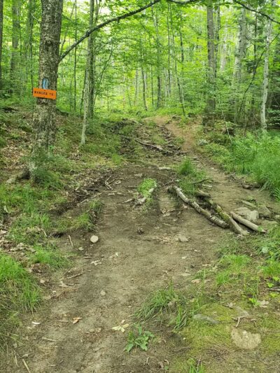 Smarts Mountain Trailhead - Lyme, NH