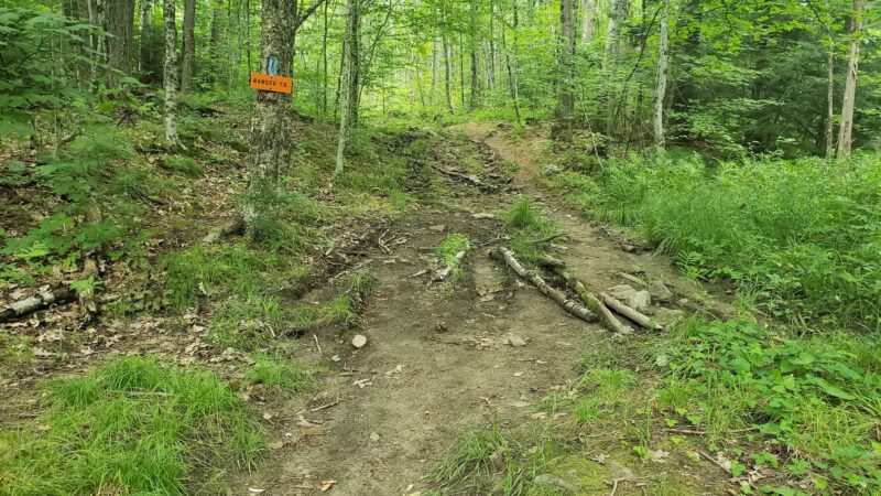 Smarts Mountain Trailhead - Lyme, NH