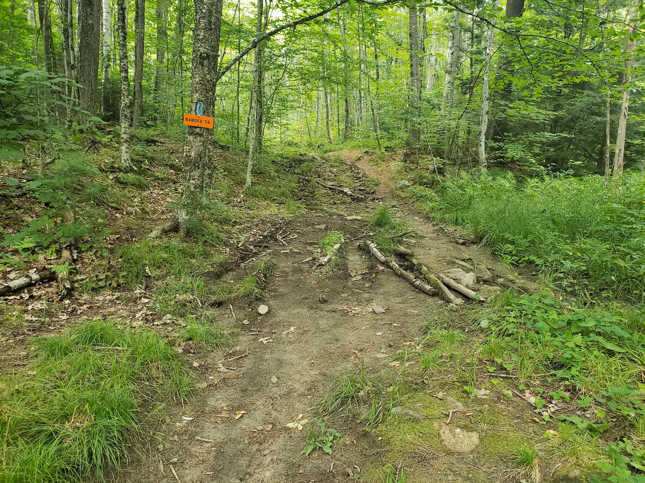 Smarts Mountain Trailhead - Lyme, NH