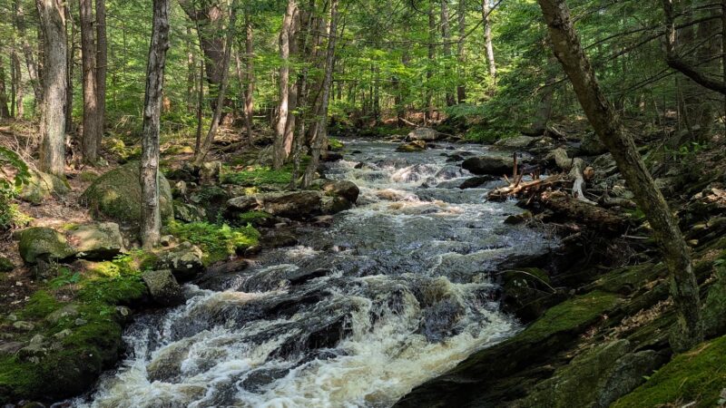 Purgatory Falls - Lyndeborough, NH
