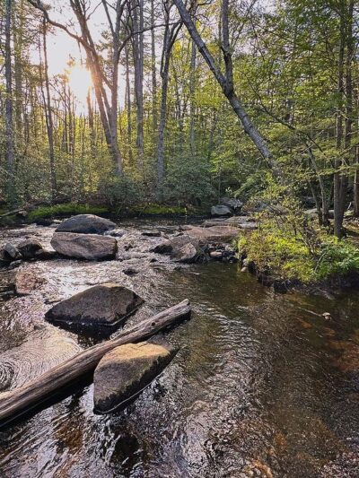 Purgatory Falls - Lyndeborough, NH