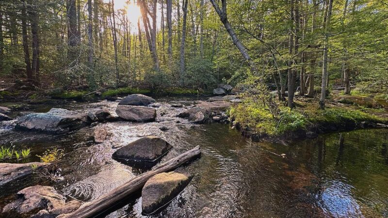 Purgatory Falls - Lyndeborough, NH