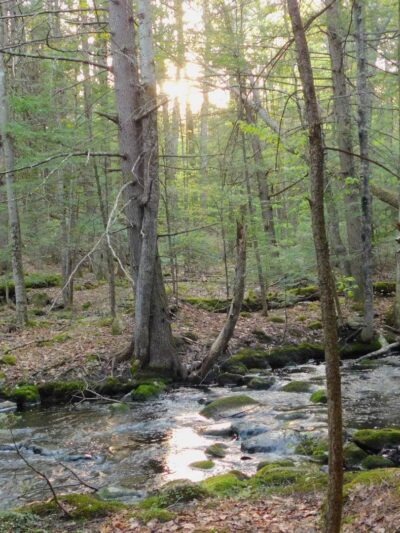 Upper Purgatory Fall Trail Head Parking - Lyndeborough, NH