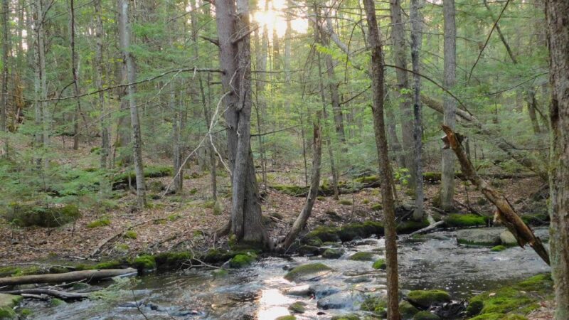 Upper Purgatory Fall Trail Head Parking - Lyndeborough, NH