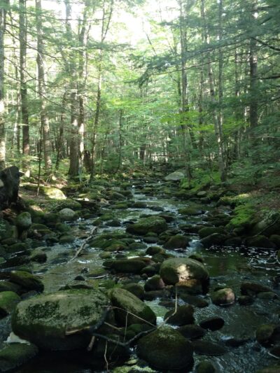 Upper Purgatory Fall Trail Head Parking - Lyndeborough, NH