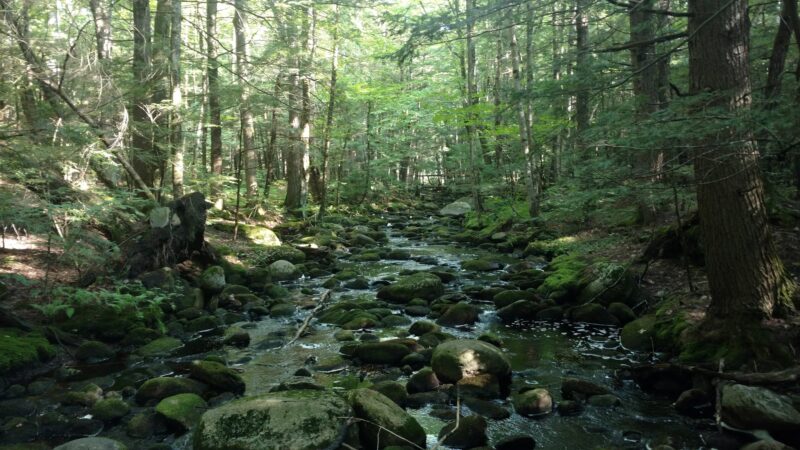 Upper Purgatory Fall Trail Head Parking - Lyndeborough, NH