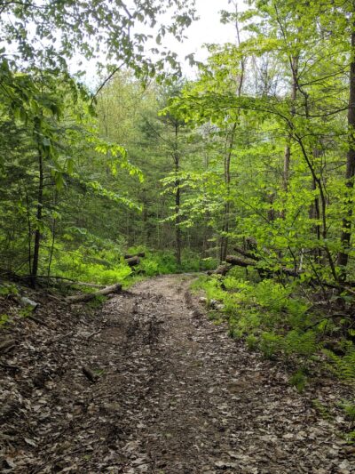 Upper Purgatory Fall Trail Head Parking - Lyndeborough, NH