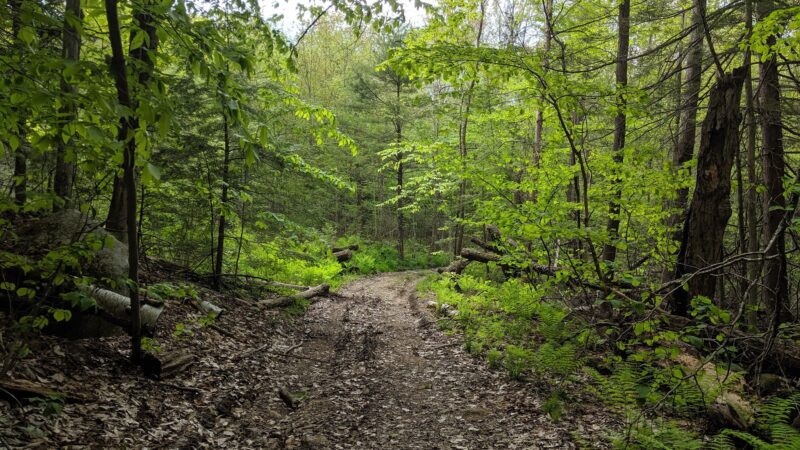 Upper Purgatory Fall Trail Head Parking - Lyndeborough, NH