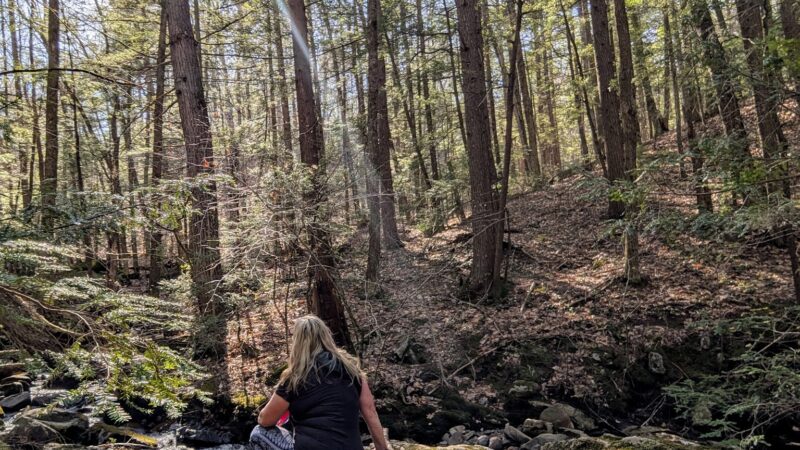 Senter falls - Lyndeborough, NH