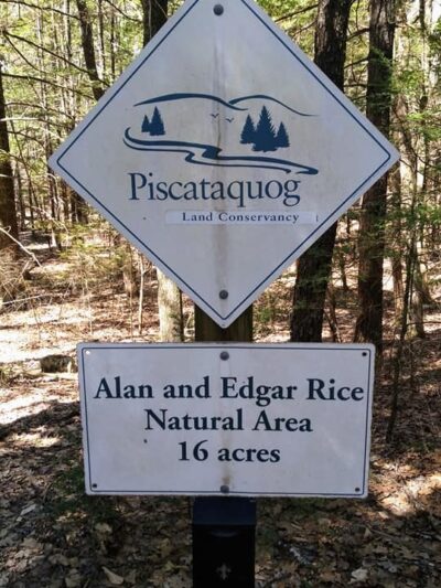 Senter falls - Lyndeborough, NH