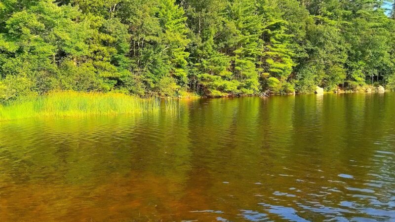 Senter falls - Lyndeborough, NH