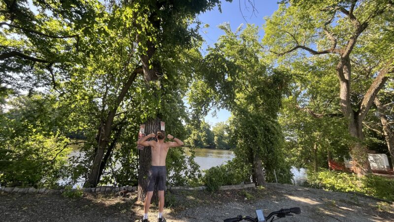 Lyndhurst Greenway 3 - Lyndhurst, NJ