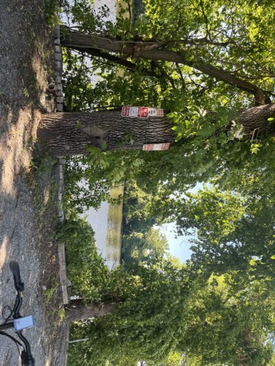 Lyndhurst Greenway 3 - Lyndhurst, NJ