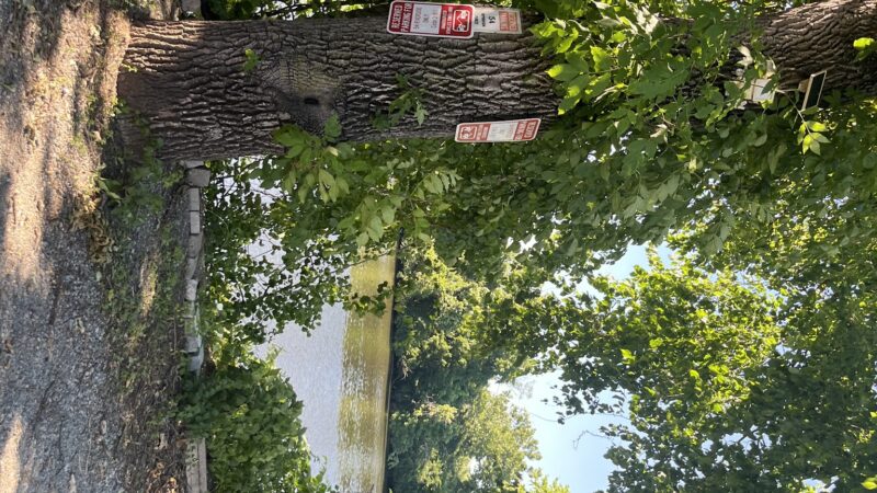 Lyndhurst Greenway 3 - Lyndhurst, NJ