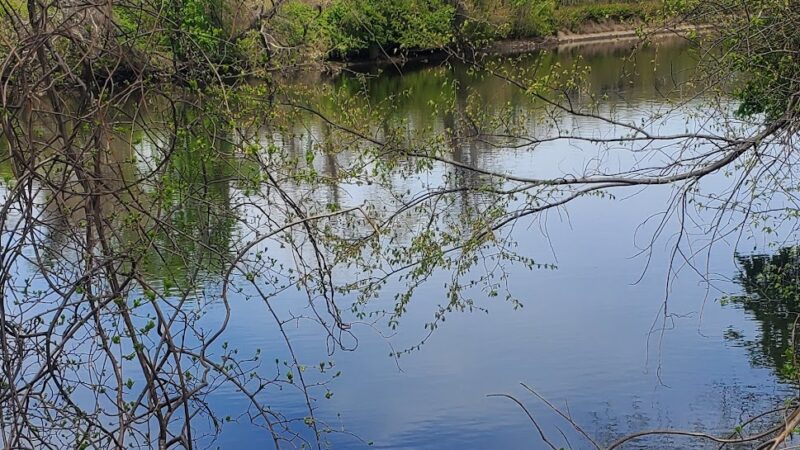 Lyndhurst Greenway 3 - Lyndhurst, NJ