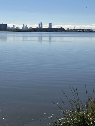 Meadowlands Environment Center - Lyndhurst, NJ