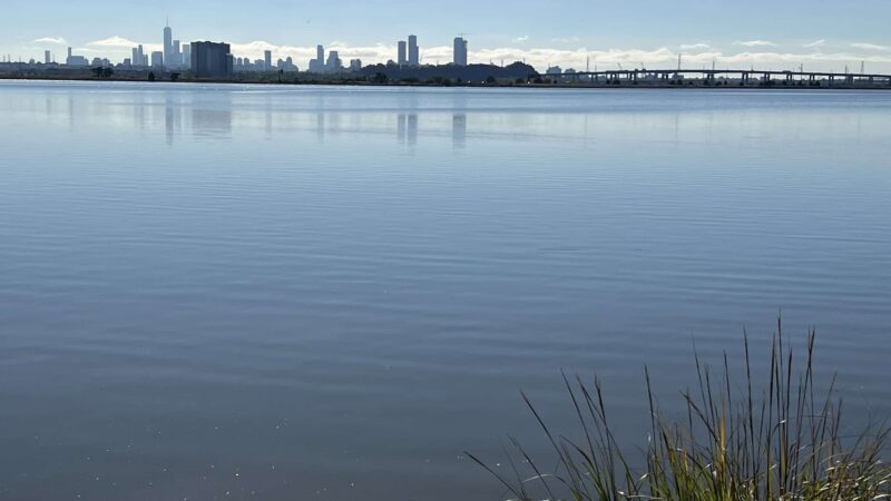 Meadowlands Environment Center - Lyndhurst, NJ