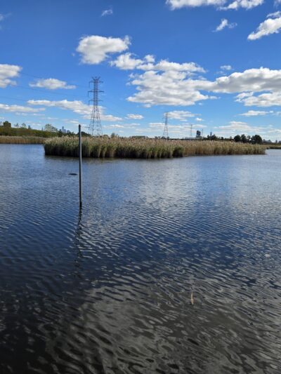Meadowlands Environment Center - Lyndhurst, NJ