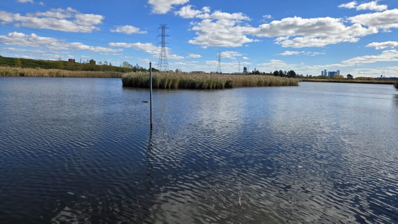 Meadowlands Environment Center - Lyndhurst, NJ