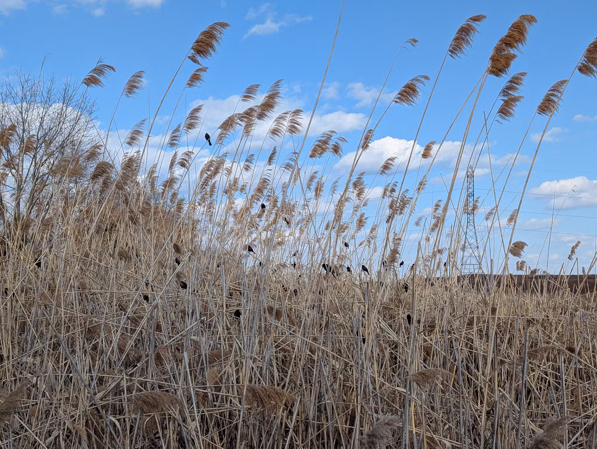 Meadowlands Environment Center - Lyndhurst, NJ