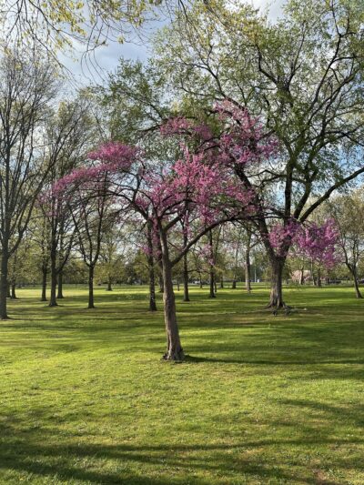 Riverside County Park Joseph Carucci Area - Lyndhurst, NJ