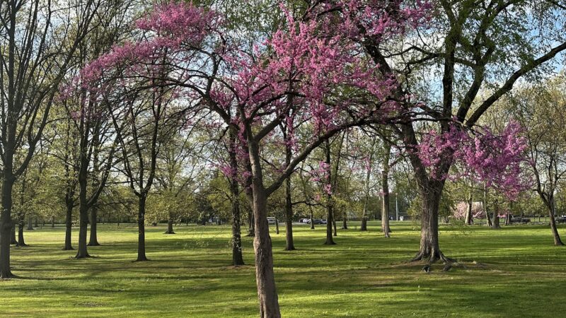 Riverside County Park Joseph Carucci Area - Lyndhurst, NJ
