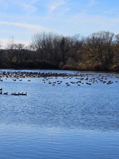 Lyndonville Town Park - Lyndonville, NY