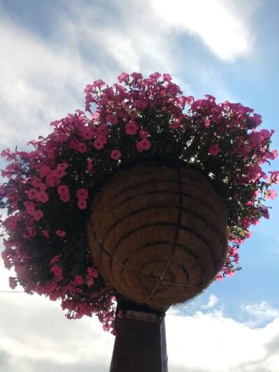 Lyndonville Town Park - Lyndonville, NY