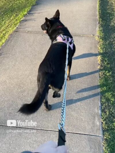 Macclenny Memorial Park - Macclenny, FL