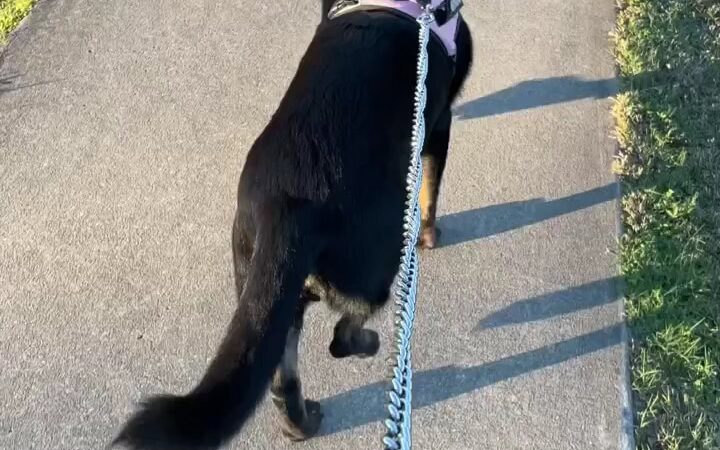 Macclenny Memorial Park - Macclenny, FL