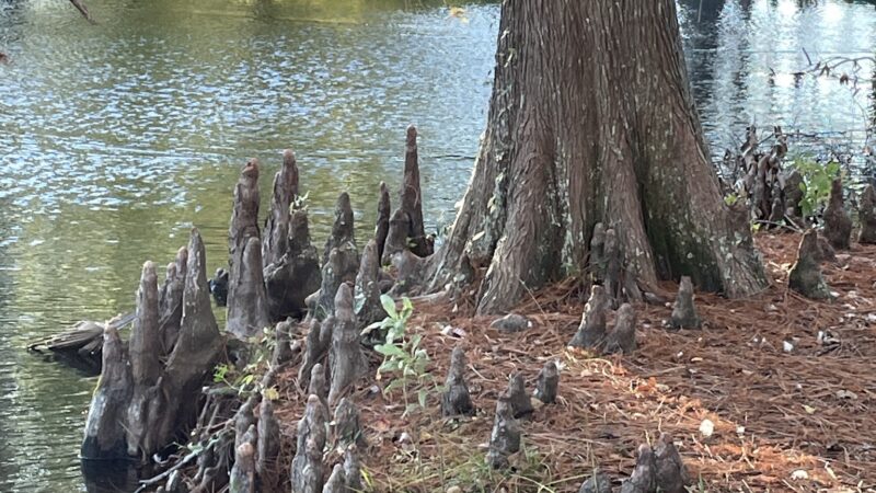 Macclenny Memorial Park - Macclenny, FL