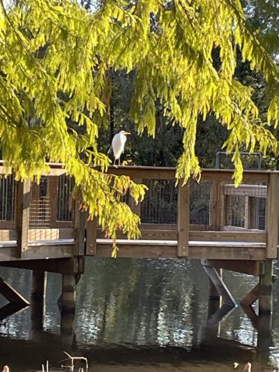 Macclenny Memorial Park - Macclenny, FL