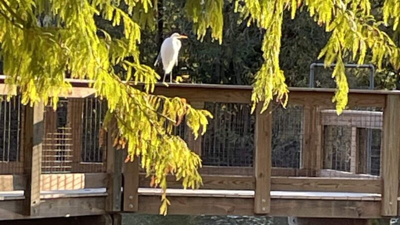 Macclenny Memorial Park - Macclenny, FL