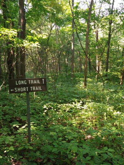 Mackinaw River State Fish and Wildlife Area - Mackinaw, IL