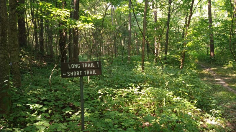 Mackinaw River State Fish and Wildlife Area - Mackinaw, IL