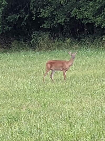 Mackville Walking Trail - Mackville, KY