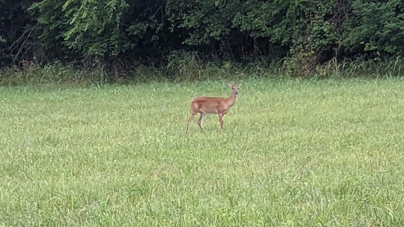 Mackville Walking Trail - Mackville, KY