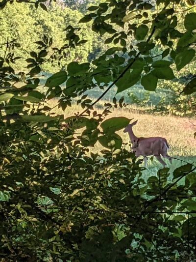 Mackville Walking Trail - Mackville, KY