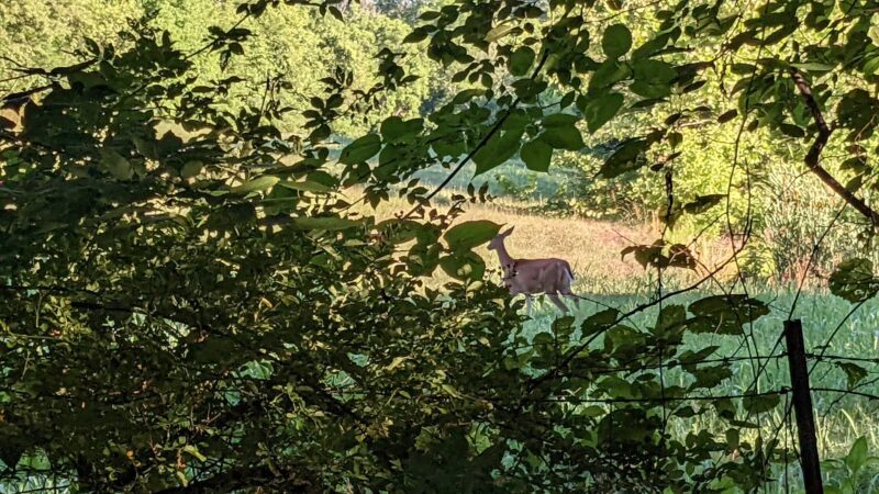 Mackville Walking Trail - Mackville, KY