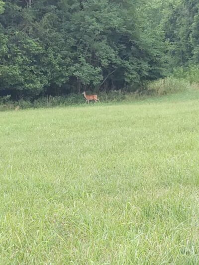 Mackville Walking Trail - Mackville, KY